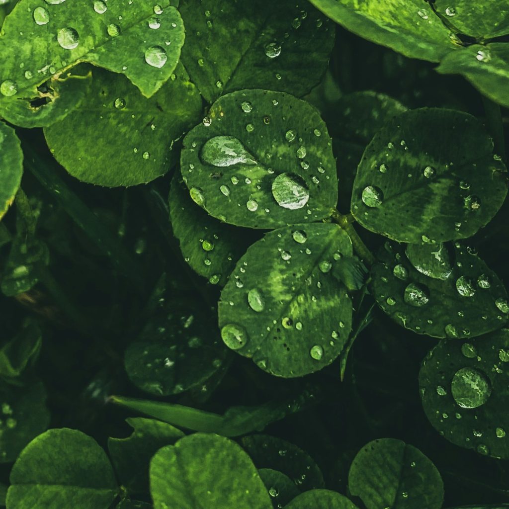 Hope in a world of crisis Water cycle restoration Canadian Organic Growers